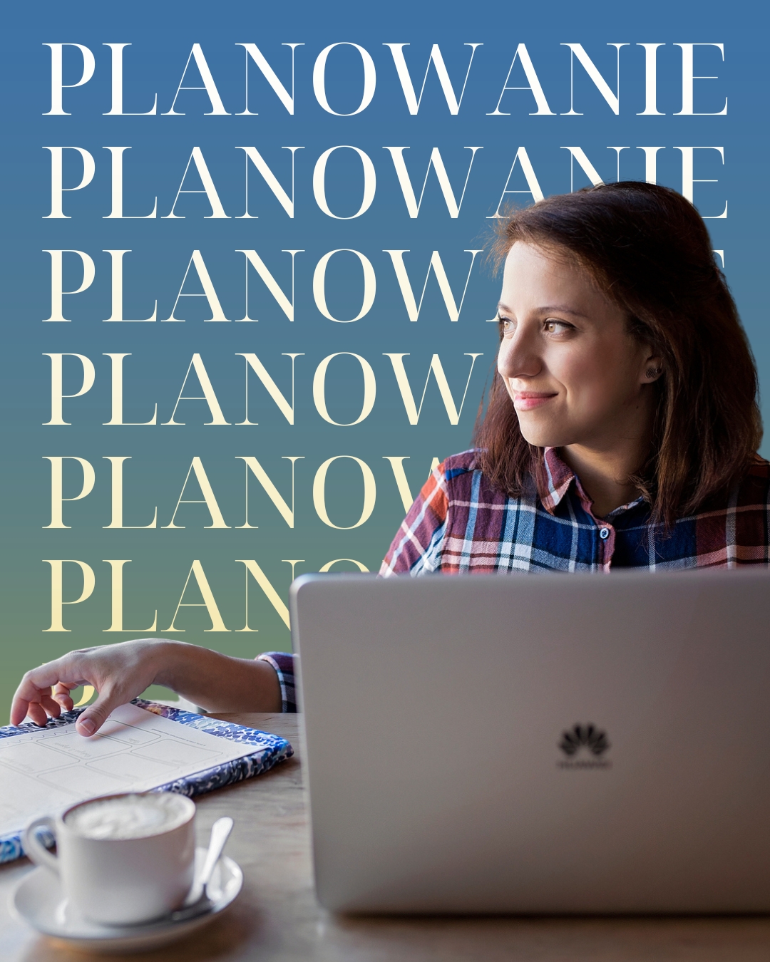 Close-up of a dandelion seed head at sunset